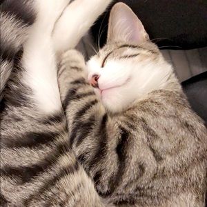 Meet your Posher, Ryan